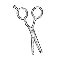 Hair cutting shears sketch raster illustration