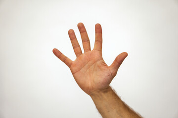 High five. Right palm Caucasian male hand shows 5 fingers. Hand brush on a white background. High...