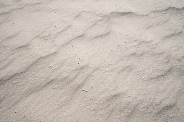 Sandy beach texture with small seashells on beach in sunny day Image for nature travel background Summer Design concept