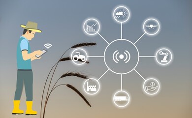 Smart Agriculture concept. production with modern farming technologies. Wireless communication icons. with wheat farm background. The farmer works agricultural jobs remotely by mobile phone