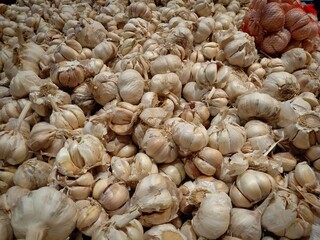 White garlic pile texture. Fresh garlic on market. Vitamin healthy food spice image. Spicy cooking ingredient picture. Pile of white garlic heads. White garlic head heap top view