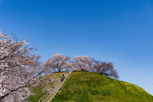 61 最適な 丸墓山古墳 画像 ストック写真 ベクター Adobe Stock 61 最適な 丸墓山古墳 画像 ストック写真 ベクター Adobe Stock