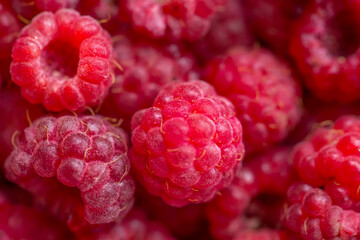 Berry background. Red raspberries close up.