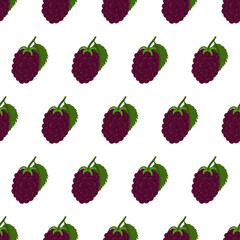 Blackberry with green leaves seamless pattern on white backdrop. Autumn forest nature. Vector fruits graphic background.
