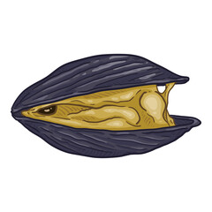 Vector Single Cartoon Mussel Illustration © nikiteev