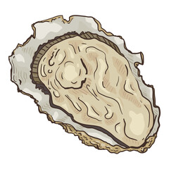 Vector Cartoon Oyster Isolated Illustration.