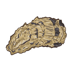 Vector Cartoon Oyster Isolated Illustration. © nikiteev