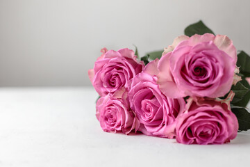 A beautiful bouquet of blooming pale pink roses flowers on a long stem on a white-gray background. Close-up, selective focus. Love, Valentine's Day, Mother's Day