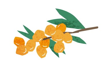 Naklejka na ściany i meble Natural hand drawn branch of sea buckthorn yellow berries vector flat illustration. Colorful berry with stem and leaves isolated on white background. Seasonal edible fruit