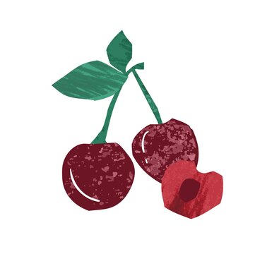 Fresh whole and half sweet cherry vector flat illustration. Ripe red edible plant with stem and leaves isolated on white background. Hand drawn wild or garden berries