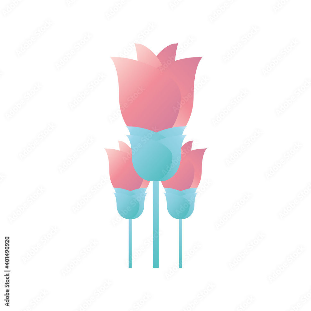 Poster chinese pink flowers vector design