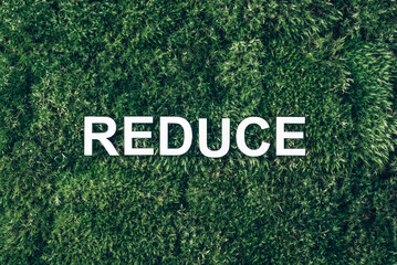 Word Reduce on moss, green grass background. Top view. Copy space. Banner. Biophilia concept. Nature backdrop. Reduce stress