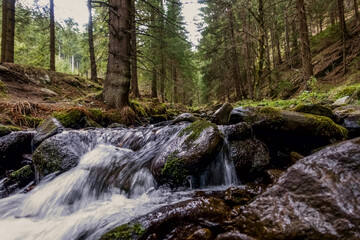 Naklejka na ściany i meble beautiful flowing mountain torrent in the forest while hiking