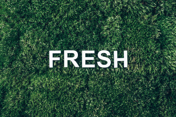 Word Fresh on moss, green grass background. Top view. Copy space. Banner. Biophilia concept. Nature backdrop