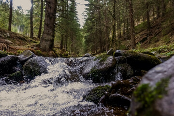 beautiful bubbling torrent in the forest while hiking