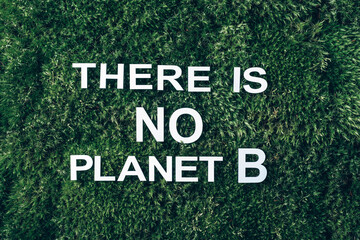 Obraz premium Inscription There Is No Planet B on moss, green grass background. Top view. Copy space. Banner. Biophilia concept. Nature backdrop