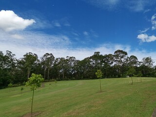 Beautiful view of a park with green grass and tall trees and deep blue sky with light clouds in the background, Heritage park, Castle Hill, Sydney, New South Wales, Australia