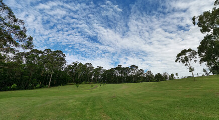 Beautiful view of a park with green grass and tall trees and deep blue sky with light clouds in the background, Heritage park, Castle Hill, Sydney, New South Wales, Australia