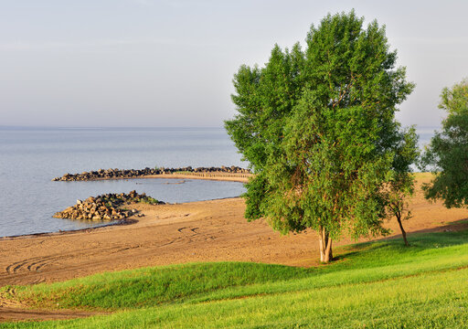 Bank Of The Novosibirsk Reservoir