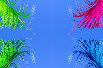 Fototapeta na wymiar Palmes couleurs sur fond bleu 