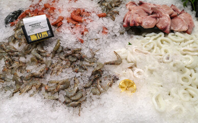 fish with ice in a market with shrimp, swordfish and squid