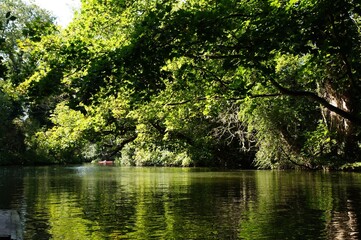 タイトル : Cambridge　Autumn

