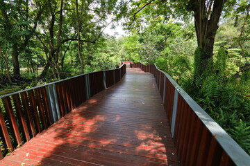 Wooden bridge view in the park
