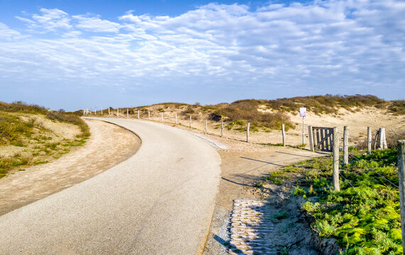 Bicycle track through the dunes of The Hague and Scheveningen