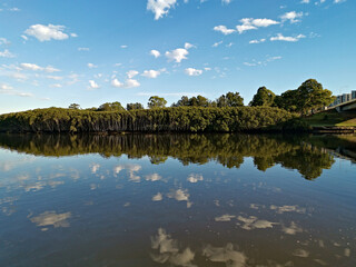 Beautiful view of a river with reflections of blue sky and trees on water, Parramatta river, Wilson Park, Silverwater, Sydney, New South Wales, Australia

