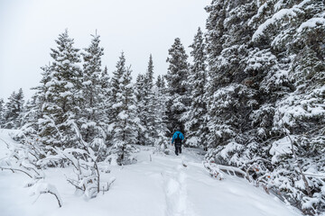 Man walking through wilderness snowy winter frosty wearing black overalls, pants and blue jacket standing out from white snow landscape surrounding. 