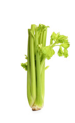 Fresh ripe green celery isolated on white