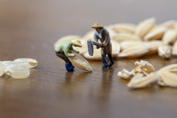 米の籾すりをするミニチュアの人形