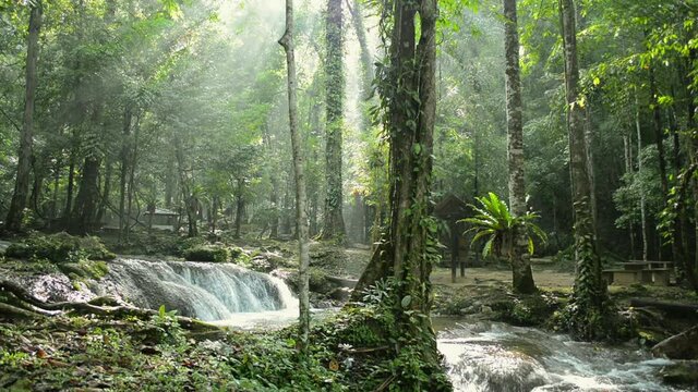 Wonderful fresh water rapid flows from cascade among green plants in tropical forest. Sun rays break through the foliage of magnificent green trees in the jungle. Magical summer forest. Thailand.