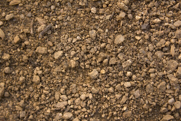Top view Soil texture background. Sand . 