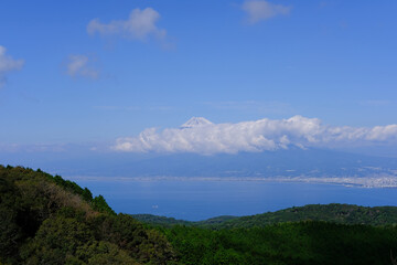 達磨山展望台からの景色