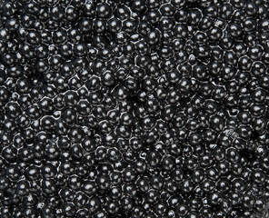 paddlefish black caviar texture, gourmet and delicious food