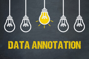 Data Annotation