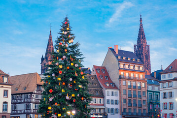 Christmas Tree near the Cathedral in Strasbourg, France, Christmas Time - obrazy, fototapety, plakaty