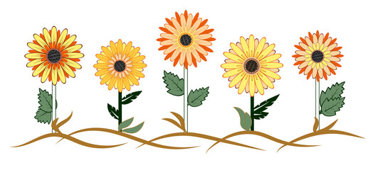 Abstract colourful sunflowers on a white background. Yellow flowers for baby print.