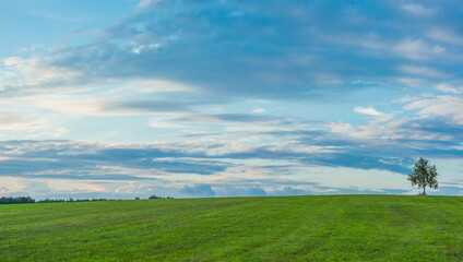Landscape panorama. Sky with clouds. Green meadow. Gorgeous rural scene.