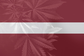 Weed Decriminalization in Latvia. Medical cannabis in the Latvia. leaf of cannabis marijuana on the...