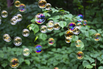 bubbles in the forest