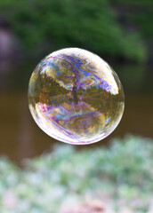 soap bubbles in the air