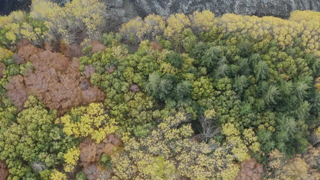 Scenic aerial shoot of autumn on Etna volcano in Sicily, Italy. Birches, secular oaks, holm oaks, turkey oaks, beeches and maples with typical autumn colors with lava flows.