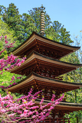 室生寺 (奈良県宇陀市 2013/05/07撮影)