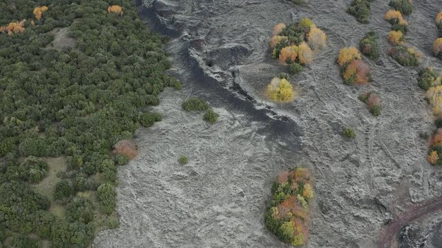 Scenic aerial shoot of autumn on Etna volcano in Sicily, Italy. Birches, secular oaks, holm oaks, turkey oaks, beeches and maples with typical autumn colors with lava flows.