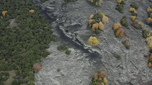 Scenic aerial shoot of autumn on Etna volcano in Sicily, Italy. Birches, secular oaks, holm oaks, turkey oaks, beeches and maples with typical autumn colors with lava flows.