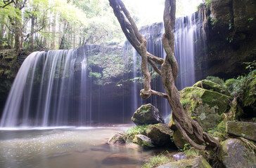 It is Nabegadaki in Kumamoto prefecture, Japan. The water of the waterfall is fantastic like a...