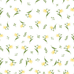 Fototapeta premium Floral Seamless Pattern with Vector Ylang Ylang or Cananga Flowers Branches, Buds and Leaves. Graphic Print for Product Packaging related to Perfumery, Soaps, Cosmetics, Aromatherapy Essential Oils