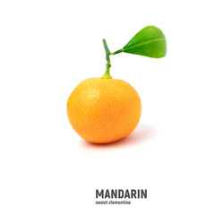 Mandarines with leaves isolated on white background. Top view tangerine.